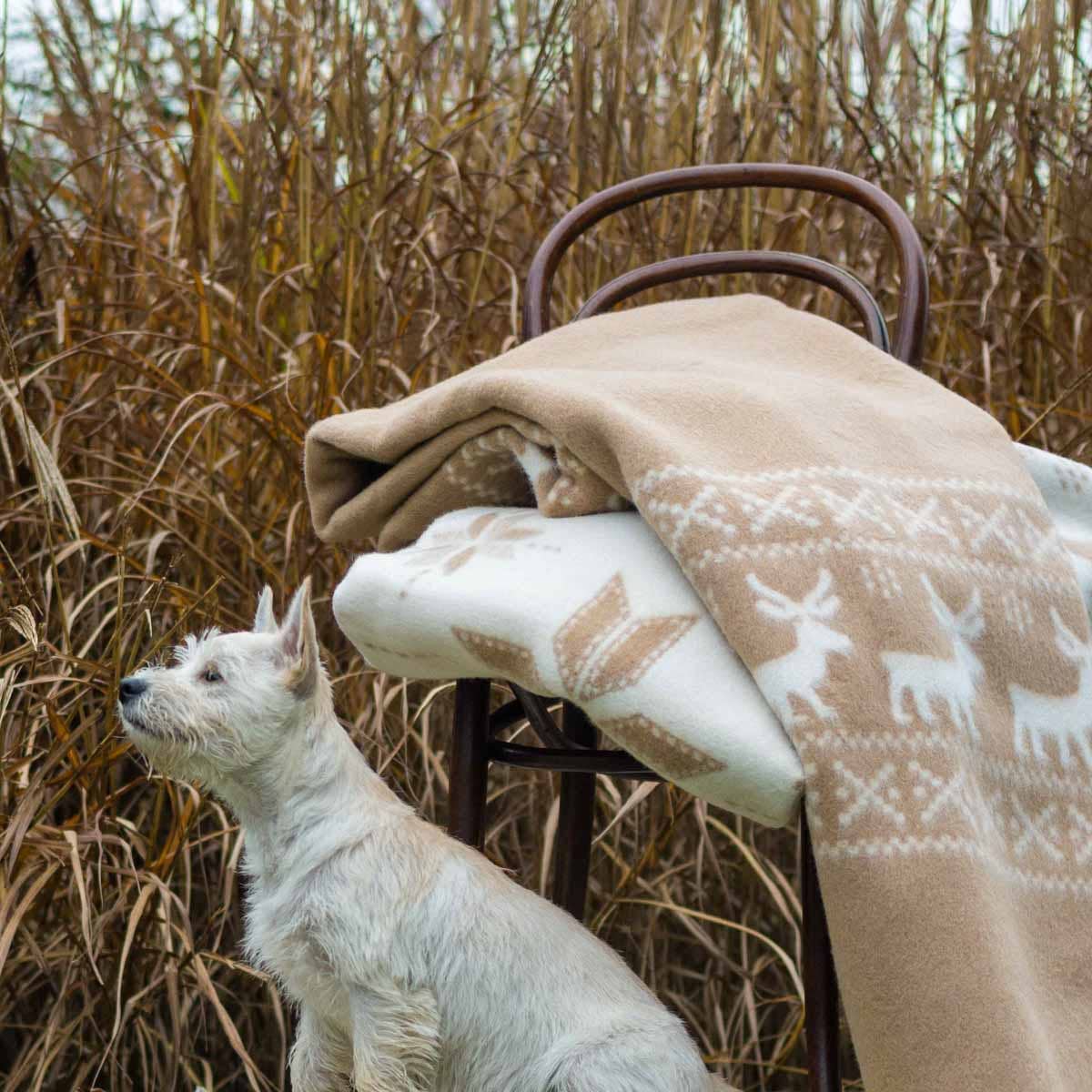 Grand plaid en laine mérinos REINDEER – Beige et blanc